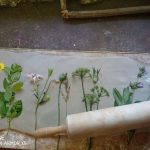 Sommerferien - Naturdrucke aus Gips im Bilderrahmen - ab 6 Jahre
