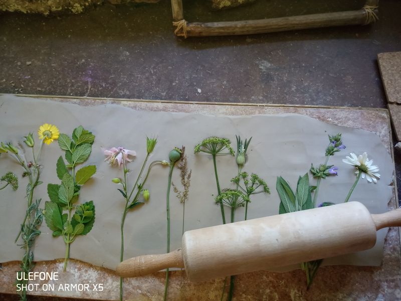 Sommerferien - Naturdrucke aus Gips im Bilderrahmen - ab 6 Jahre