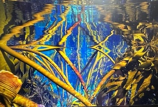 Osterferien - Im Argenwald - MixedMedia - ab 7 Jahre