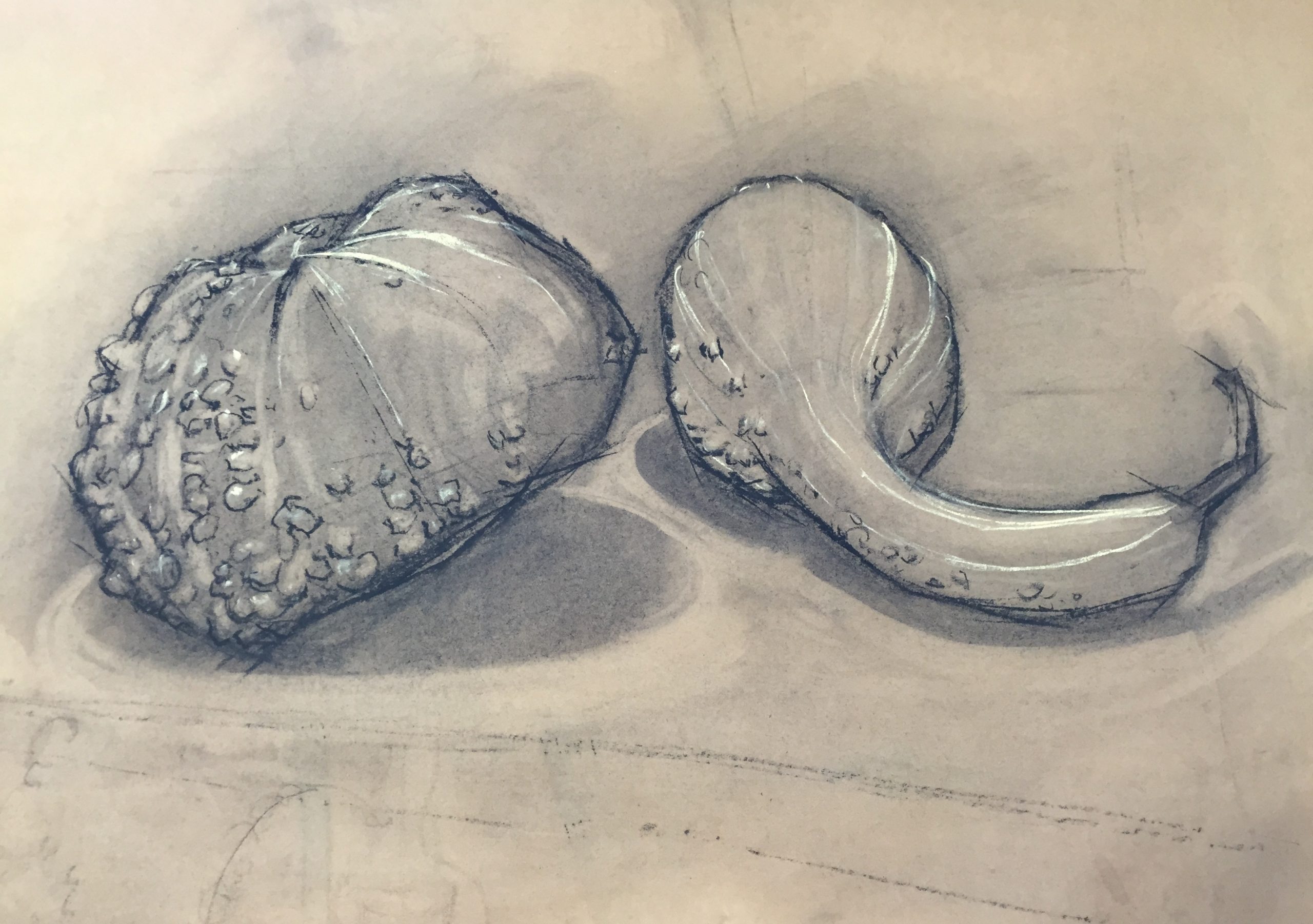 Zeichenschule - Grundlagen Zeichnen, Formen im Raum - ab 10 Jahre