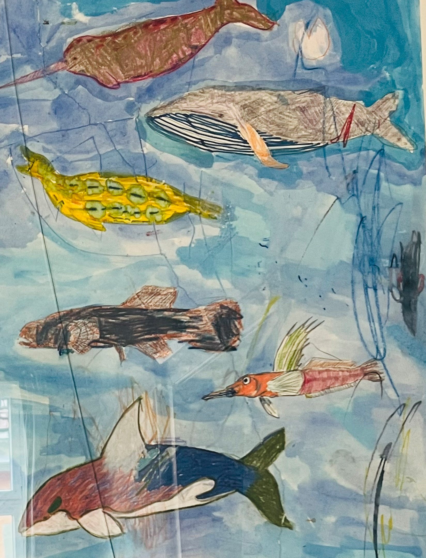 Bunte Fische im weiten Meer - Zeichnen & Malen - Kompaktkurs - ab 8 Jahre